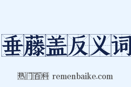 垂藤盖反义词是什么意思的图片